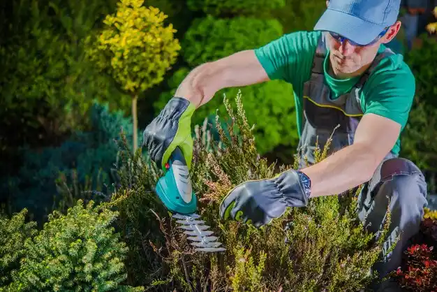 landscaping services Shrub Oak